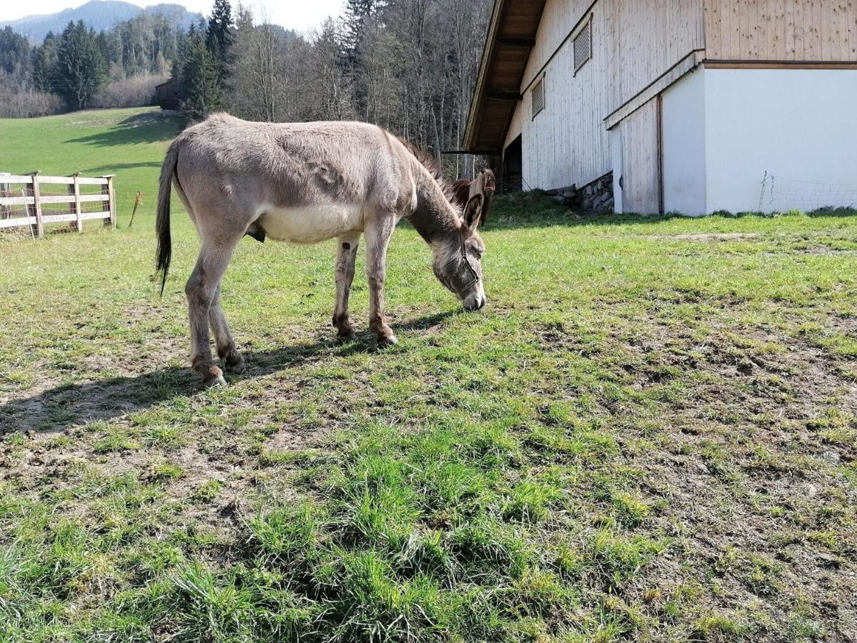 Holiday On An Organic Farm In Hart Im Zillertal Exterior foto