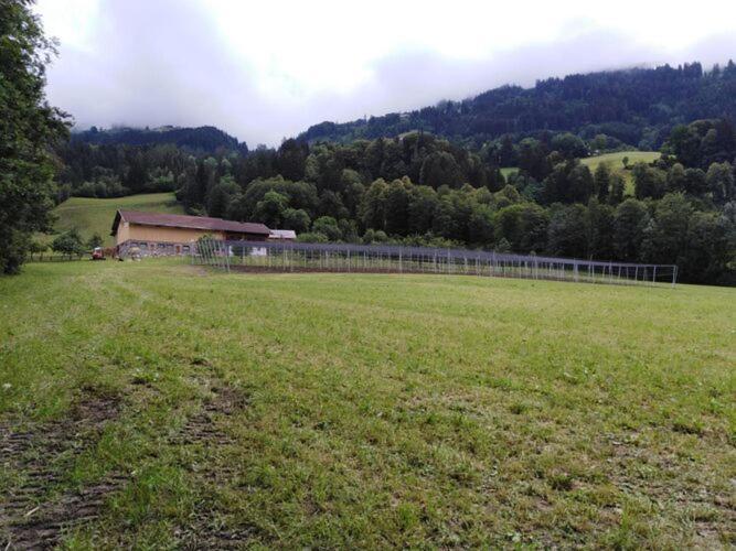 Holiday On An Organic Farm In Hart Im Zillertal Exterior foto